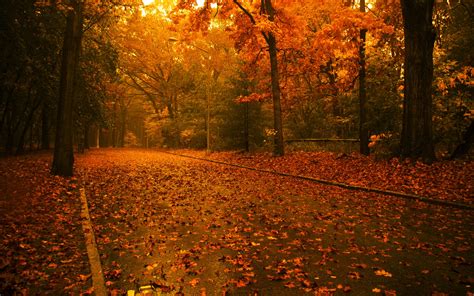 Nfssummerholidays is a free screensaver for windows on summer theme. 49+ Free Screensavers Wallpaper for Fall on WallpaperSafari