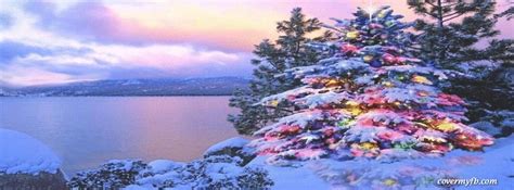 Stunning Christmas Tree Facebook Covers Stunning Christmas Tree Fb