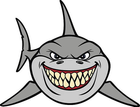 Shark Teeth Illustrations Royalty Free Vector Graphics And Clip Art Istock