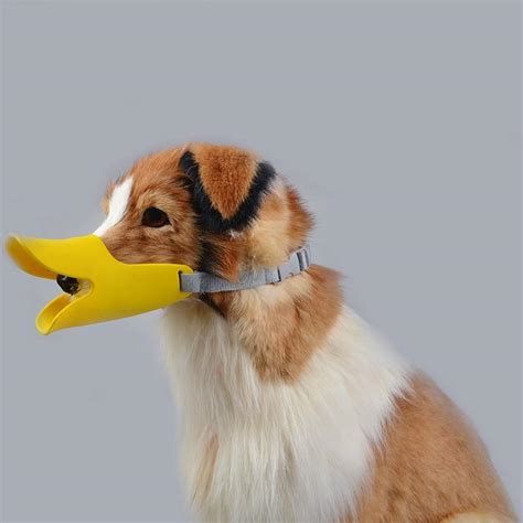 Funny Dog Duck Mouth Dog Toys Oh My Glad