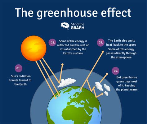 You must have heard of greenhouse effect during any debate on global warming. Carbon cycle and greenhouse effect - A scientific infographic