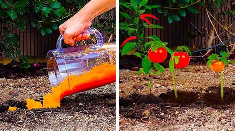 24 planting life hacks to grow a great garden youtube