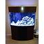 90 Gallon Aquarium Stand And Canopy & For Sale Fish 