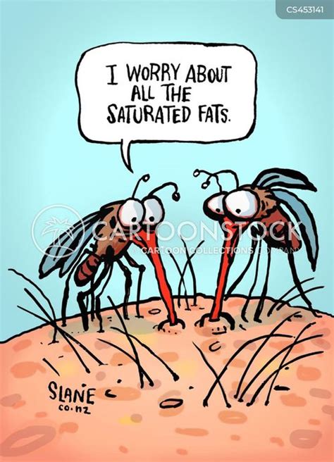 Mosquito Pictures Cartoon