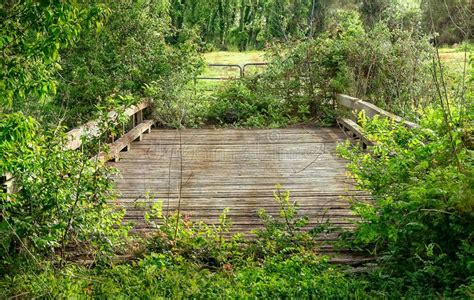 Abandoned Overgrown Wooden Bridge With Railing Stock Image Image Of