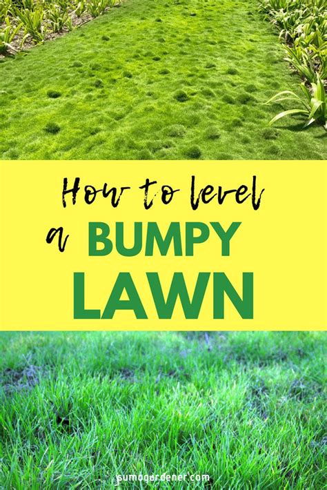 How To Level A Bumpy Lawn Lawn Care Business Lawn Diy Lawn