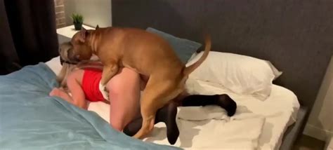 Petite Blonde Getting Fucked By Brown Dog