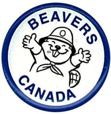 Beaver Scout Button | Beaver scouts, Beaver, Beaver canada