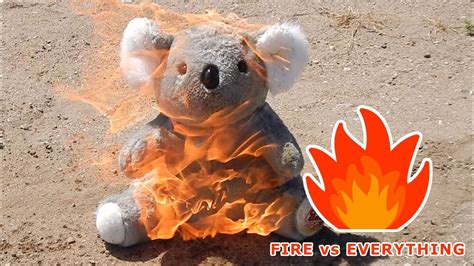Fire Vs Teddy Bear Youtube