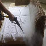 Steam Carpet Bed Bugs Images