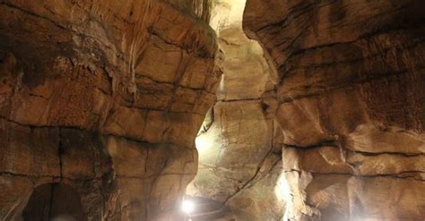 Many curiosities are featured on guided tours of the miracle mile at rickwood caverns state park. Rickwood Caverns State Park | Alapark | State parks, Park ...