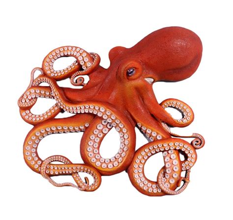 Nautical Tropical Ts And Decor 32″h Awesome Octopus Wall Decor