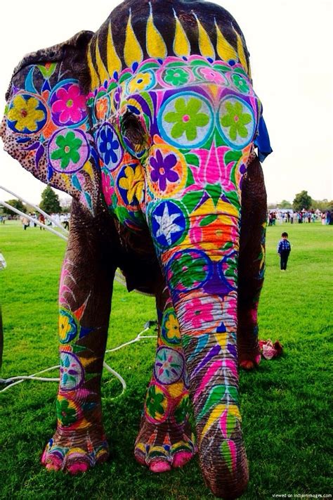 Painted Elephant Festival In India Stunning Elephant Love Colorful