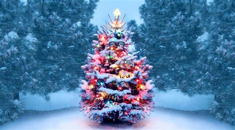 3440x1440 Resolution Christmas Tree With Snow And Lights Decoration