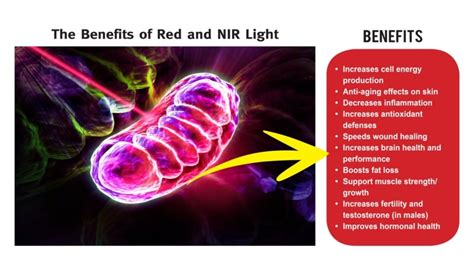 The Ultimate Guide To Red Light Therapy And Near Infrared Light Therapy