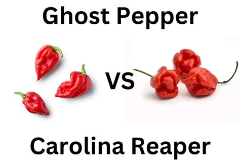Carolina Reaper Vs Ghost Hot Sex Picture
