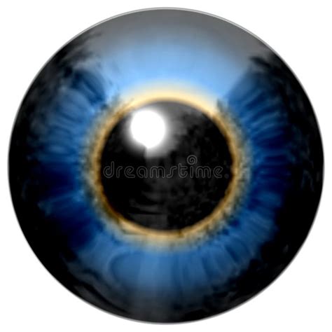 Detalle Del Ojo Con Iris Azul Y Pupila Negra Stock De Ilustración