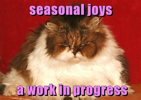 Get The Elegant Funny Cat Memes About Work Hilarious Pets Pictures