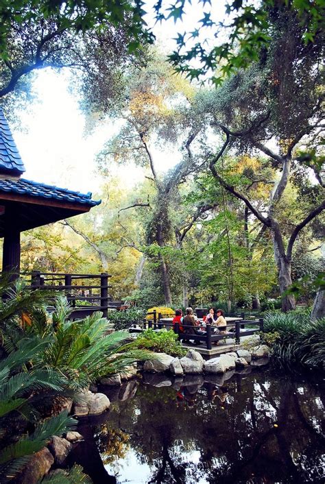 Even though it's easier than ever to buy plants online, keeping them alive is still a challenge. Descanso Gardens May Be The Most Underrated Place In All ...