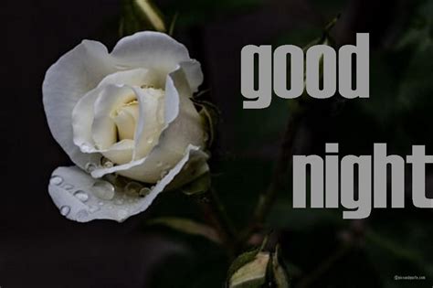 Send her that romantic good night message. Good Night Messages for Him To Make Him Smile in 2020 ...