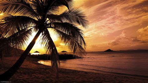 Beach Paradise Wallpapers Wallpaper Cave