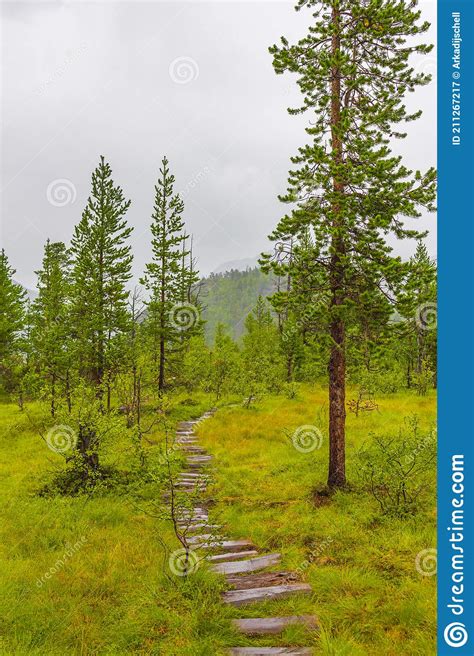 Hiking Trails In Norwegian Nature Through Mountains Forests Utladalen