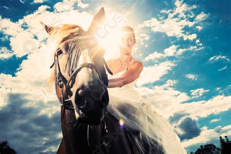 Bride In Wedding Dress Riding A Horse Backlit Stock Photo 535395