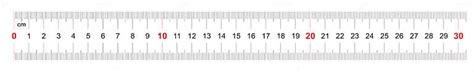 Ruler Of 300 Millimeters Ruler Of 30 Centimeters Calibration Grid