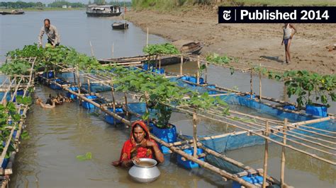 Farming On Water To Prevent The Effects Of Climate Change The New