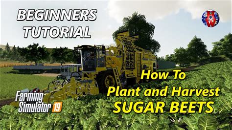Tutorial How To Plant And Harvest Sugar Beets Farming Simulator 19