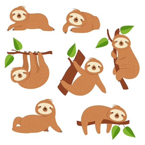 Premium Vector Cute Sloths Cartoon Sloth Hanging On Tree Branch