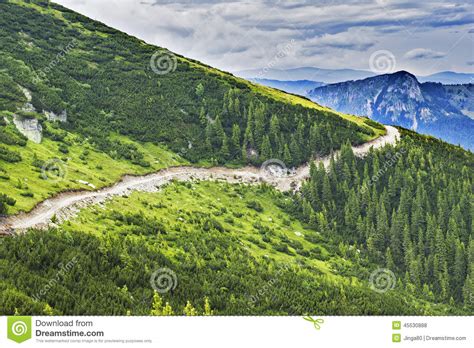 Beautiful Summer Landscape With Mountains And Pines Stock Photo Image