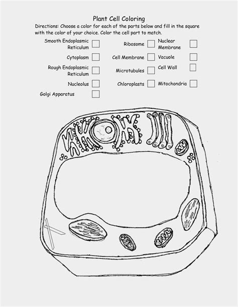 It has more extensive descriptions of cell parts and a numbered image to help students locate the parts. Biologycorner.com Animal Cell Coloring Answer Key - Ouf! 39+ Vérités sur Biologycorner.com ...