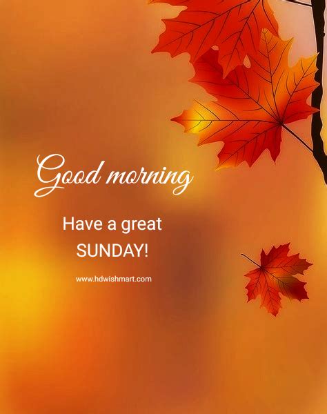Happy Sunday Pictures Sunday Morning Wishes Good Morning Sunday