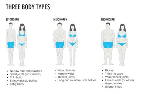 What Is Your Body Type Fitness And Nutrition Tips Vittobox