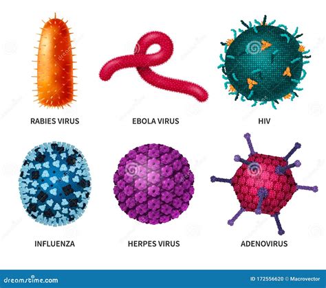Bacteria Viruses Realistic Set Stock Vector Illustration Of Biology