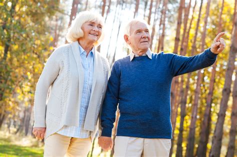 activities that boost elderly mental health salus homecare