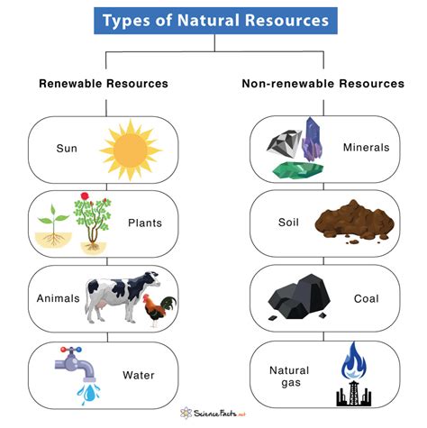 Natural Resources Definition Types Examples And Diagram