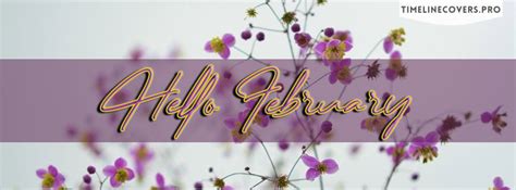 Hello February Sweet And Simple Facebook Cover Photo