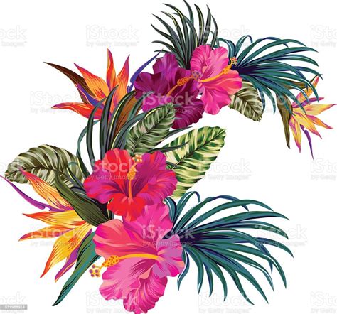 vector tropical bouquet stock illustration download image now tropical climate flower