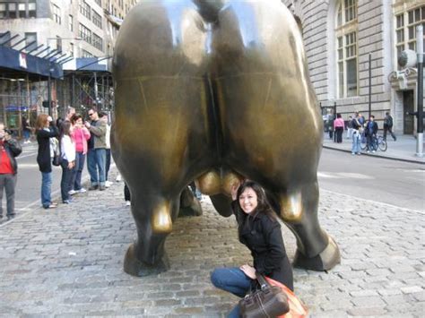 Grabbed The Bull By The Balls Picture Of Charging Bull Wall Street