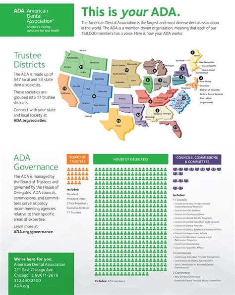 They also give recommendations and talks about oral health. American Dental Association