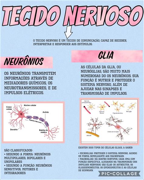 Mapas Mentais Sobre TECIDO NERVOSO Study Maps