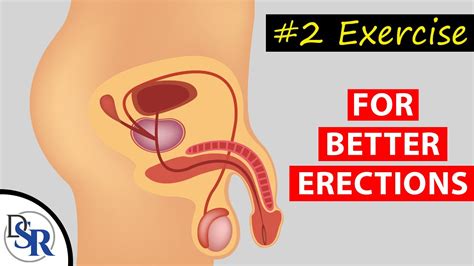 2 Exercise For Preventing Erectile Dysfunction And Improving Your Performance In The Bedroom