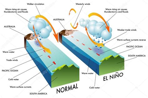 Pictures El Nino Cross Section Of El Nino South — Stock