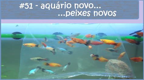 Num Aquario Há 8 Peixes Entre Pequenos E Grandes
