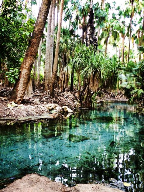 Australia Mataranka Hot Springs At Elsey National Park Travel2unlimited