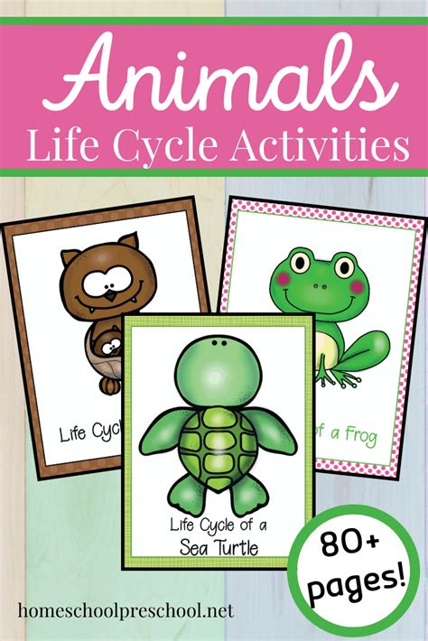 Life Cycle Of Animals Printables For Preschoolers
