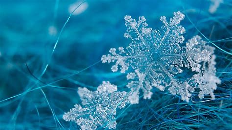 Snowflake Wallpaper ·① Download Free Backgrounds For Desktop And Mobile