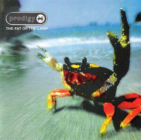 Prodigy The Fat Of The Land Cd Discogs